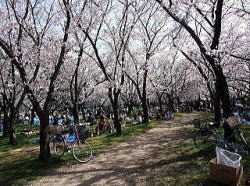 平成22年　写真集