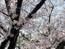 平成22年　写真集