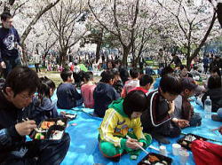 平成22年　写真集